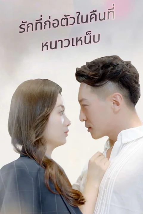 โปสเตอร์ รักที่ก่อตัวในคืนที่หนาวเหน็บ