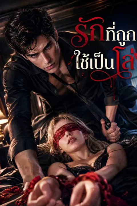โปสเตอร์ รักที่ถูกใช้เป็นโล่