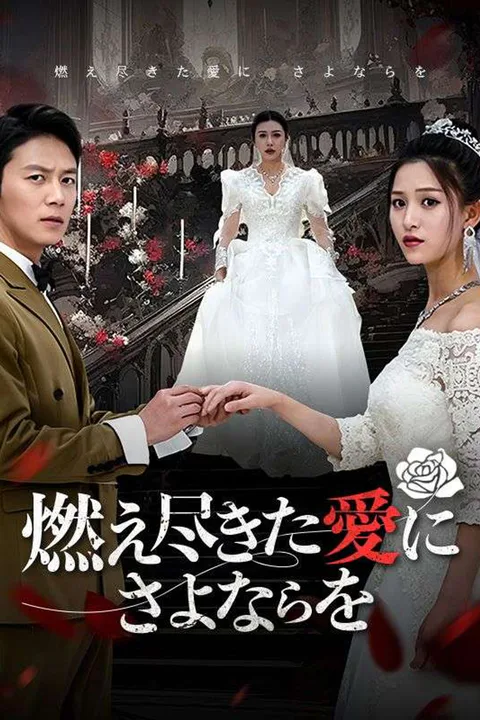 燃え尽きた愛にさよならをのポスター