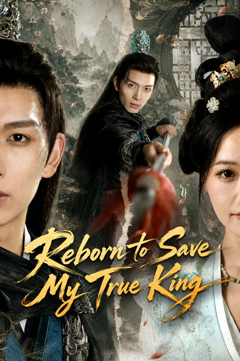 Reborn to Save My True King poster