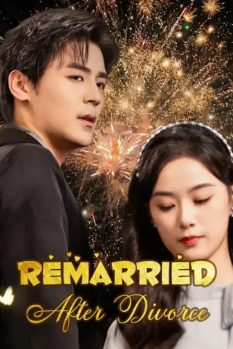 Remarried After Divorce poster