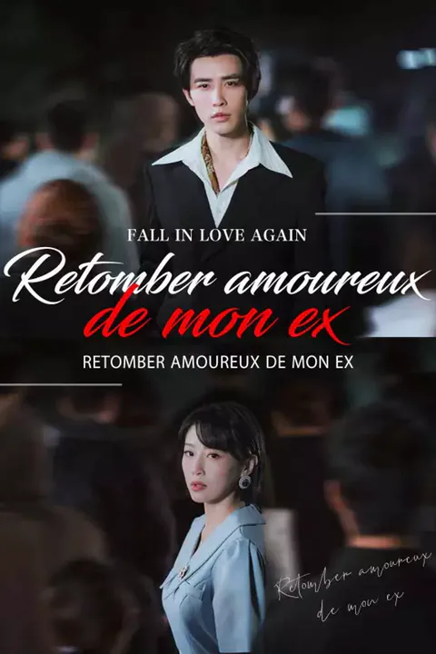 Affiche de Retomber amoureux de mon ex