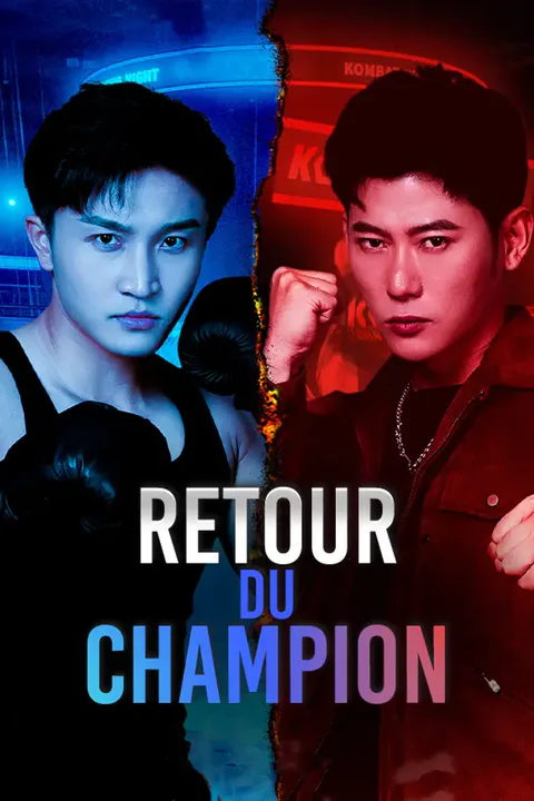 Affiche de Retour du Champion