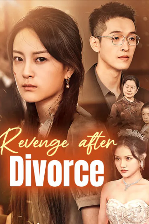 Revenge after Divorce poster