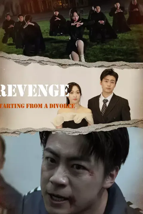 Poster Revenge Starting from a Divorce