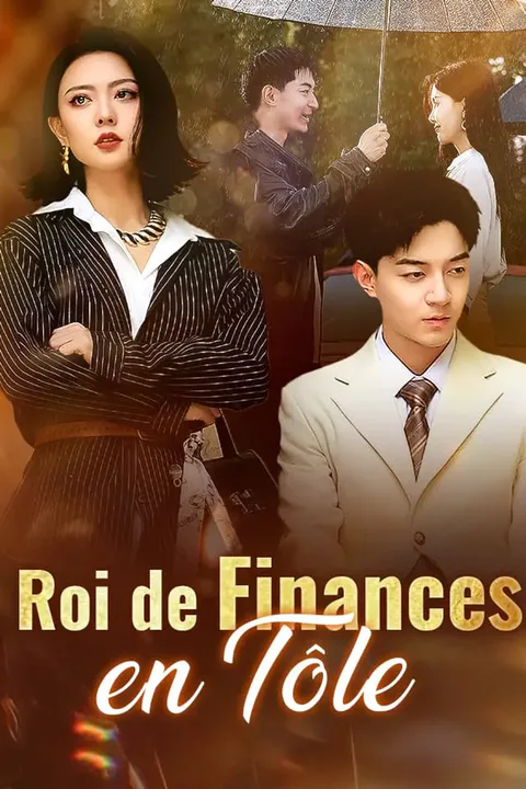 Affiche de Roi de Finances en Tôle