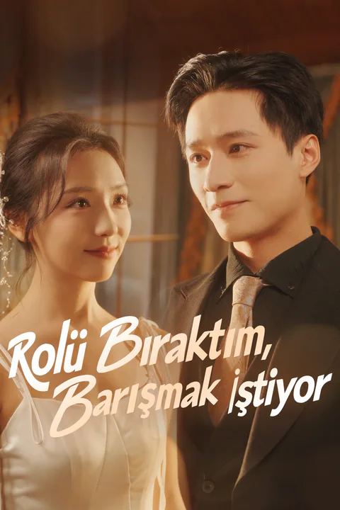Rolü Bıraktım,Barışmak İstiyor afişi