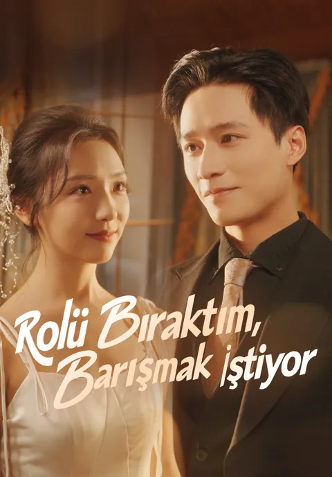 Rolü Bıraktım,Barışmak İstiyor afişi