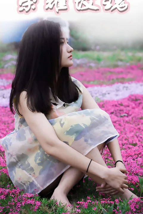 《荣耀玫瑰》海报