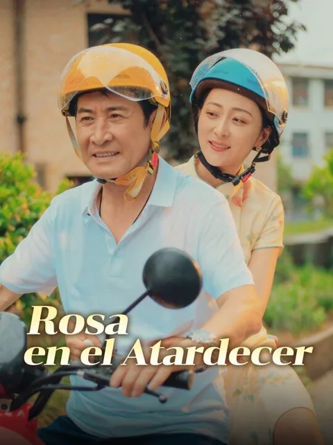 Póster de Rosa en el Atardecer
