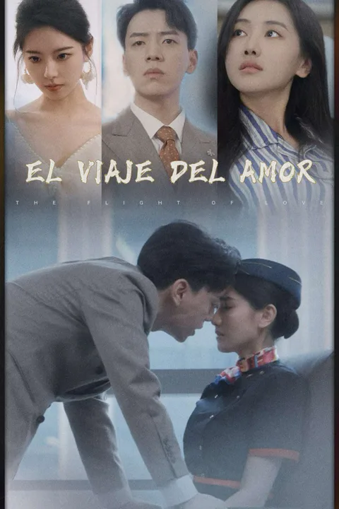 Pôster de Rota do Amor