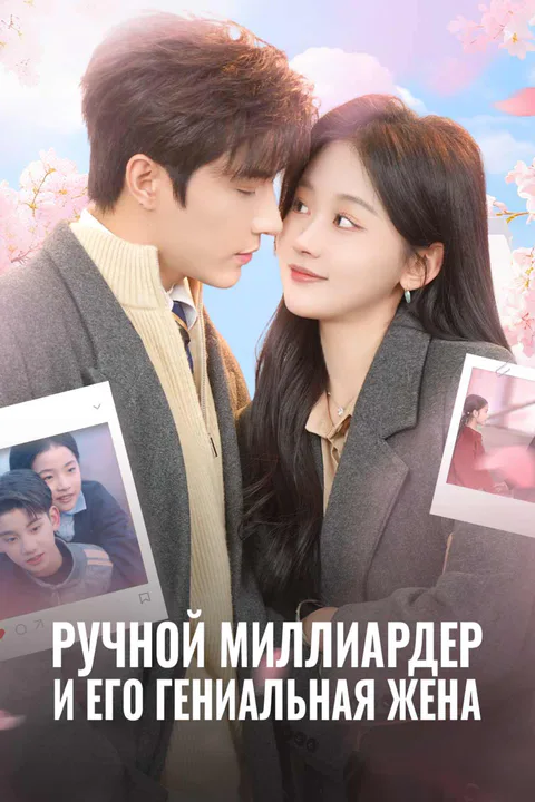 Постер «Ручной миллиардер и его гениальная жена»