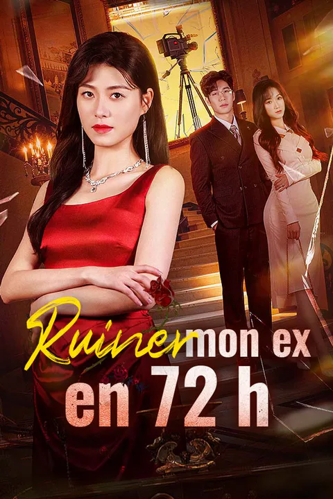 Affiche de Ruiner mon ex en 72 h