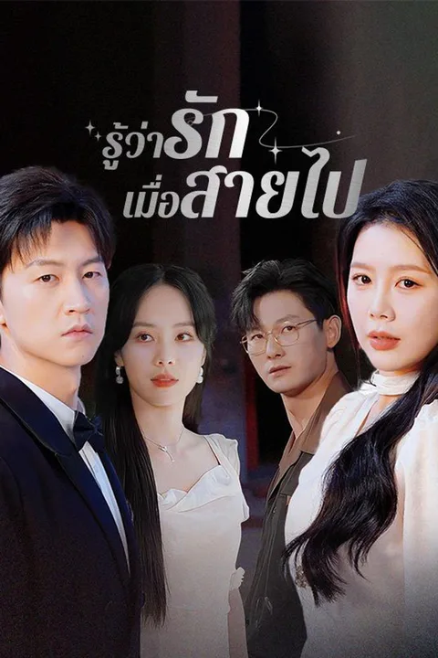 โปสเตอร์ รู้ว่ารักเมื่อสายไป