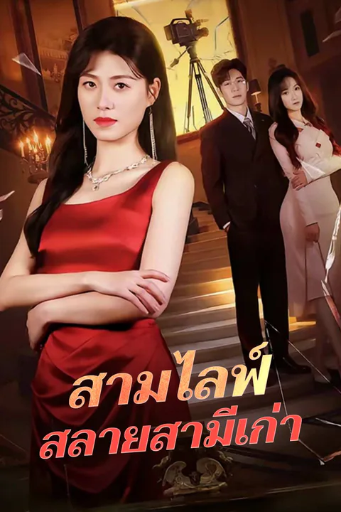 โปสเตอร์ สามไลฟ์สลายสามีเก่า