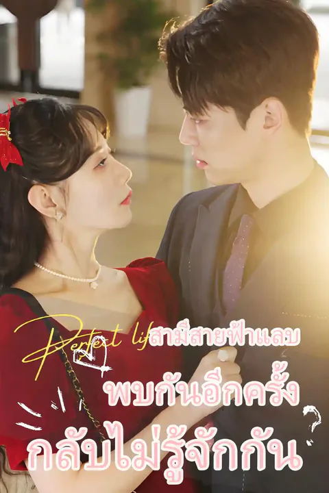 โปสเตอร์ สามีสายฟ้าแลบ พบกันอีกครั้งกลับไม่รู้จักกัน