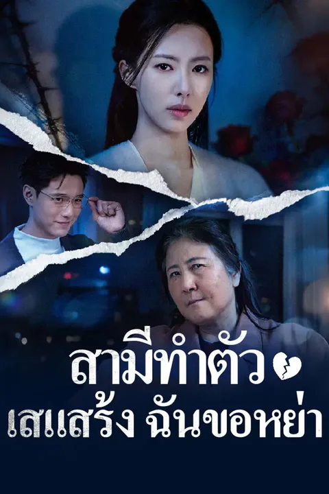 โปสเตอร์ สามีทำตัวเสแสร้ง ฉันขอหย่า