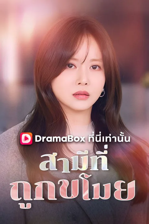 โปสเตอร์ สามีที่ถูกขโมย