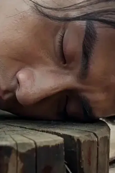 사형수의 핀하오판 시스템 포스터