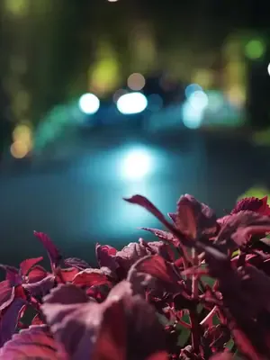 Şaka ters teptiğinde afişi