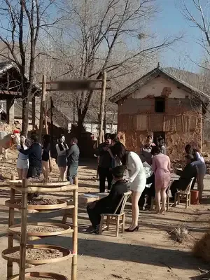 Salyangoz gelin afişi