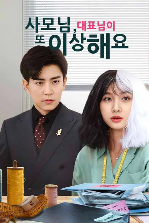 사모님, 대표님이 또 이상해요 포스터