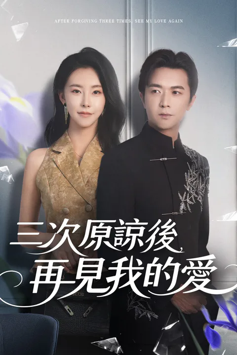 《三次原諒後，再見我的愛》海報