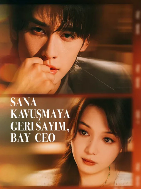 Sana Kavuşmaya Geri Sayım, Bay CEO afişi