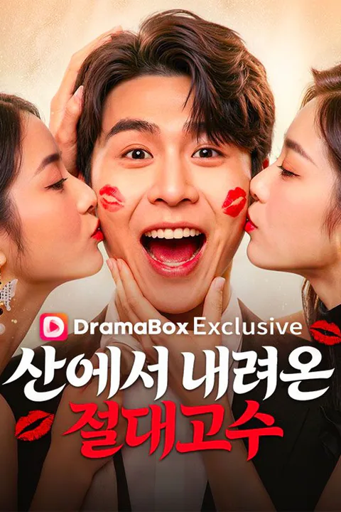 산에서 내려온 절대고수 포스터