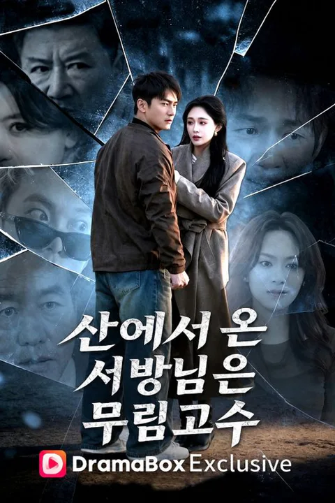 산에서 온 서방님은 무림고수 (더빙) 포스터