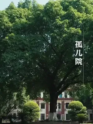 Şans getiren kızın kimlik savaşı afişi