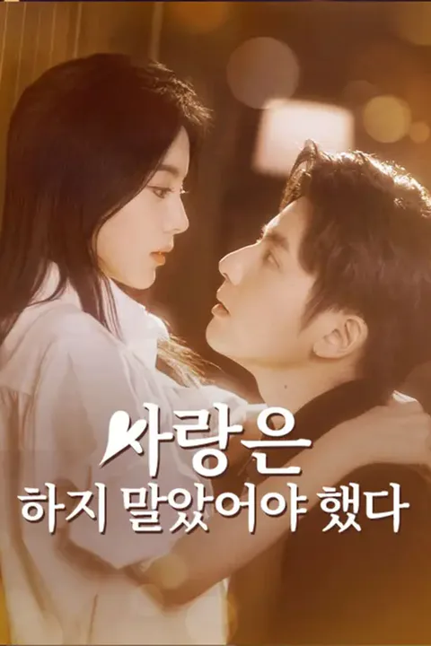 사랑은 하지 말았어야 했다 포스터