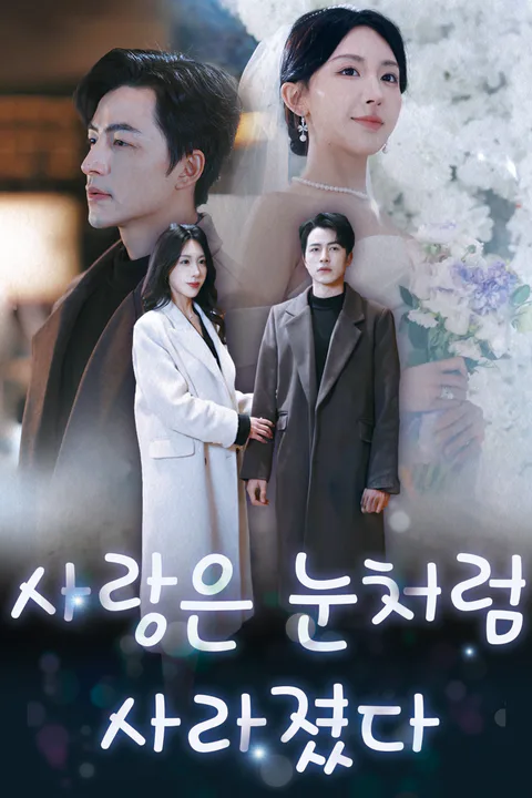 사랑은 눈처럼 사라졌다 포스터