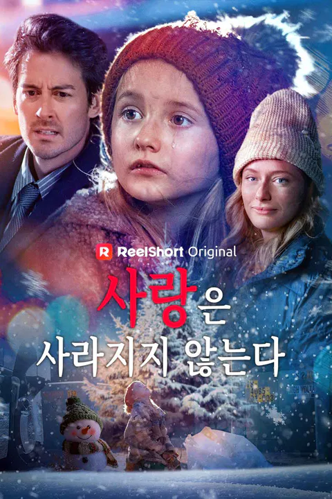 사랑은 사라지지 않는다 포스터