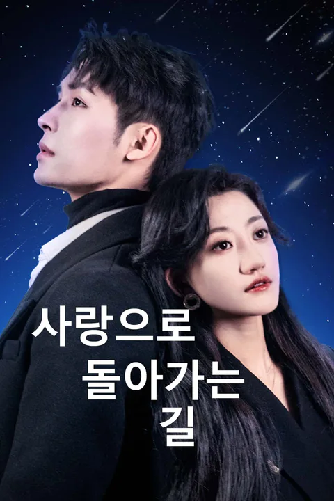 사랑으로 돌아가는 길 포스터