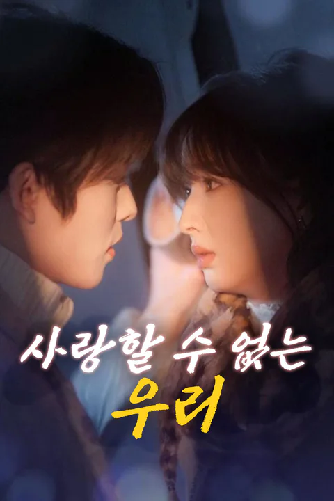 사랑할 수 없는 우리 포스터