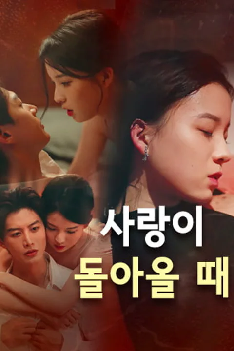 사랑이 돌아올 때 포스터