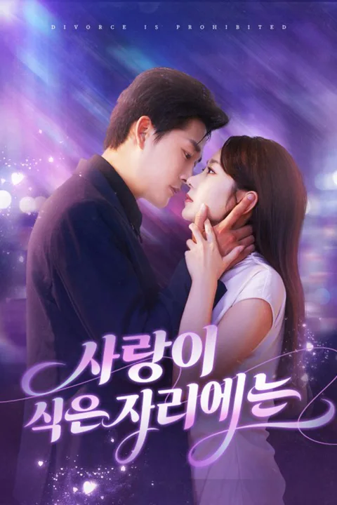 사랑이 식은 자리에는 (더빙) 포스터