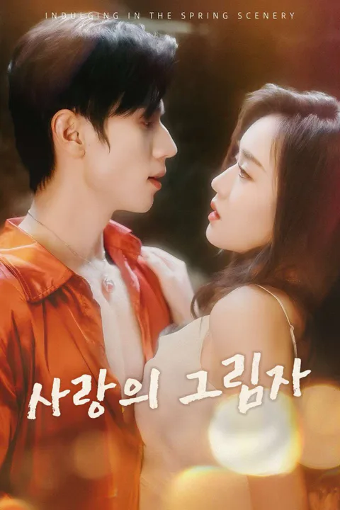 사랑의 그림자 포스터