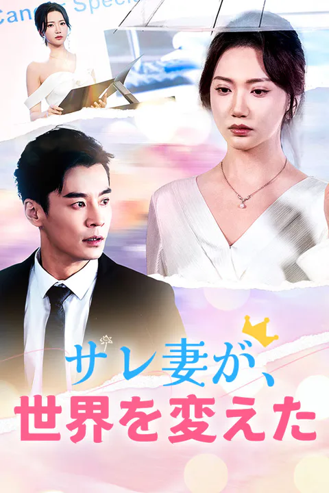 サレ妻が、世界を変えたのポスター