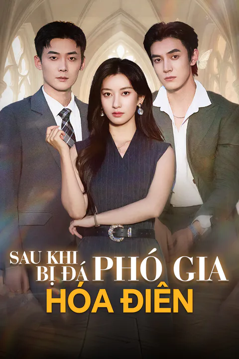 Poster Sau Khi Bị Đá, Phó Gia Hóa Điên