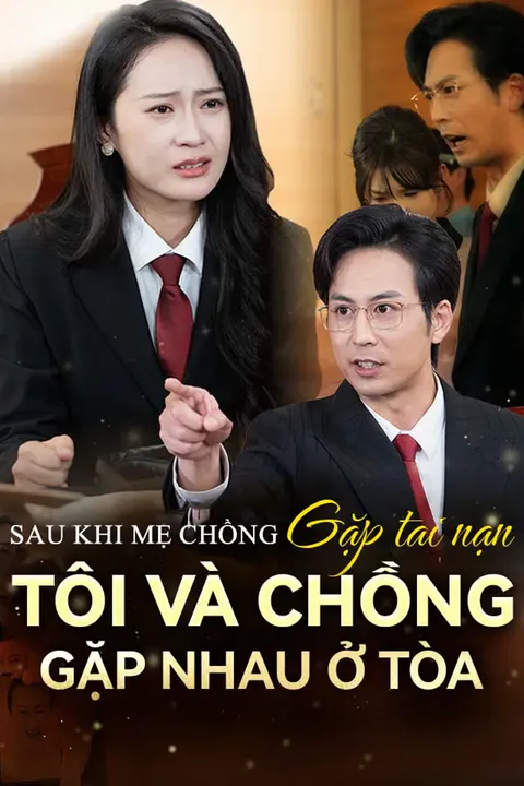 Poster Sau khi mẹ chồng gặp tai nạn tôi và chồng gặp nhau ở tòa