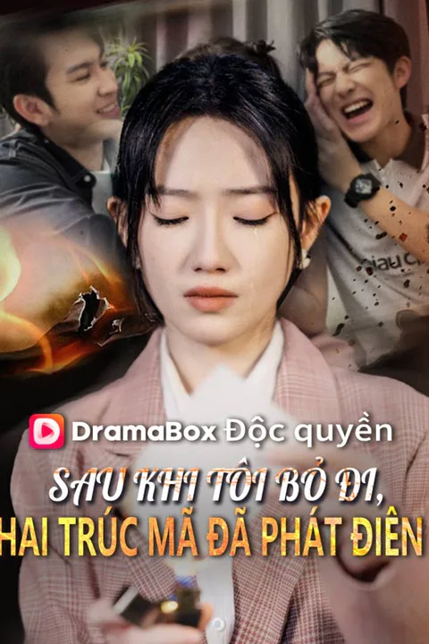 Poster Sau Khi Tôi Bỏ Đi, Hai Trúc Mã Đã Phát Điên
