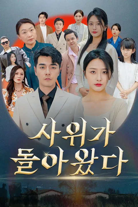 사위가 돌아왔다 포스터
