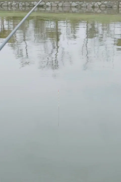 Poster Saya bisa memancing apa saja