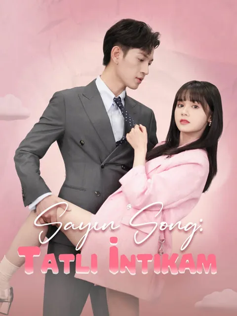 Sayın Song: Tatlı İntikam afişi