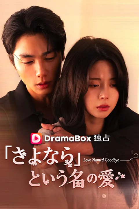 「さよなら」という名の愛（吹き替え）のポスター