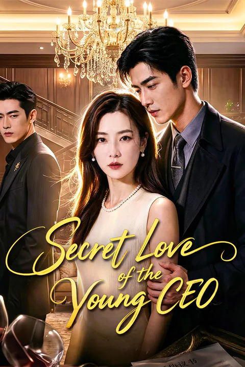 Secret Love of the Young CEO poster