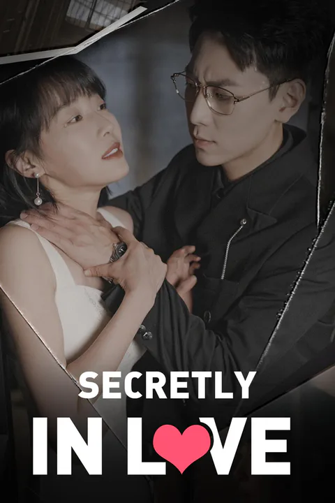 Secretly in Love poster