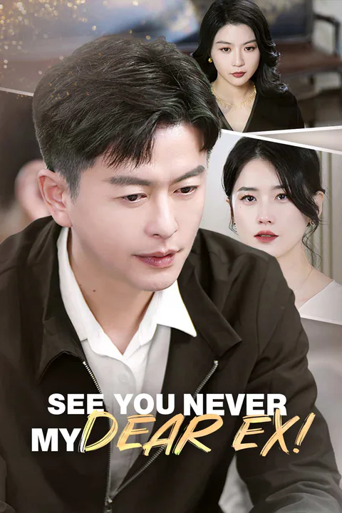 See You Never, My Dear Ex! poster